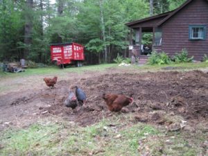 Saranac Lake Dumpster Rental